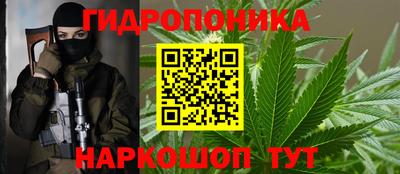 гашик Волжск